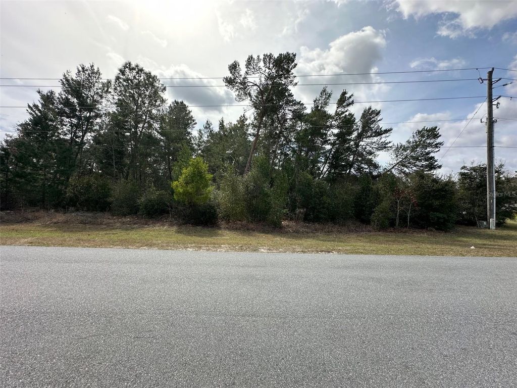 Photo of 0 SW 110th Street, Ocala, FL 34476 (MLS # OM718571)