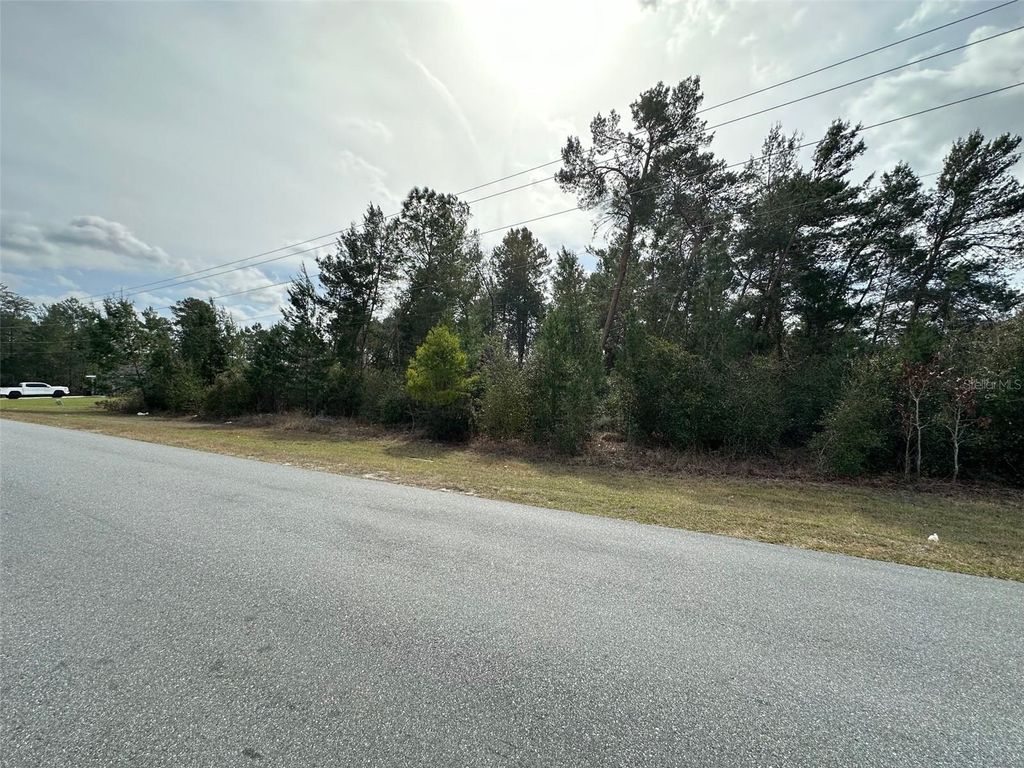 Photo of 0 SW 110th Street, Ocala, FL 34476 (MLS # OM718571)