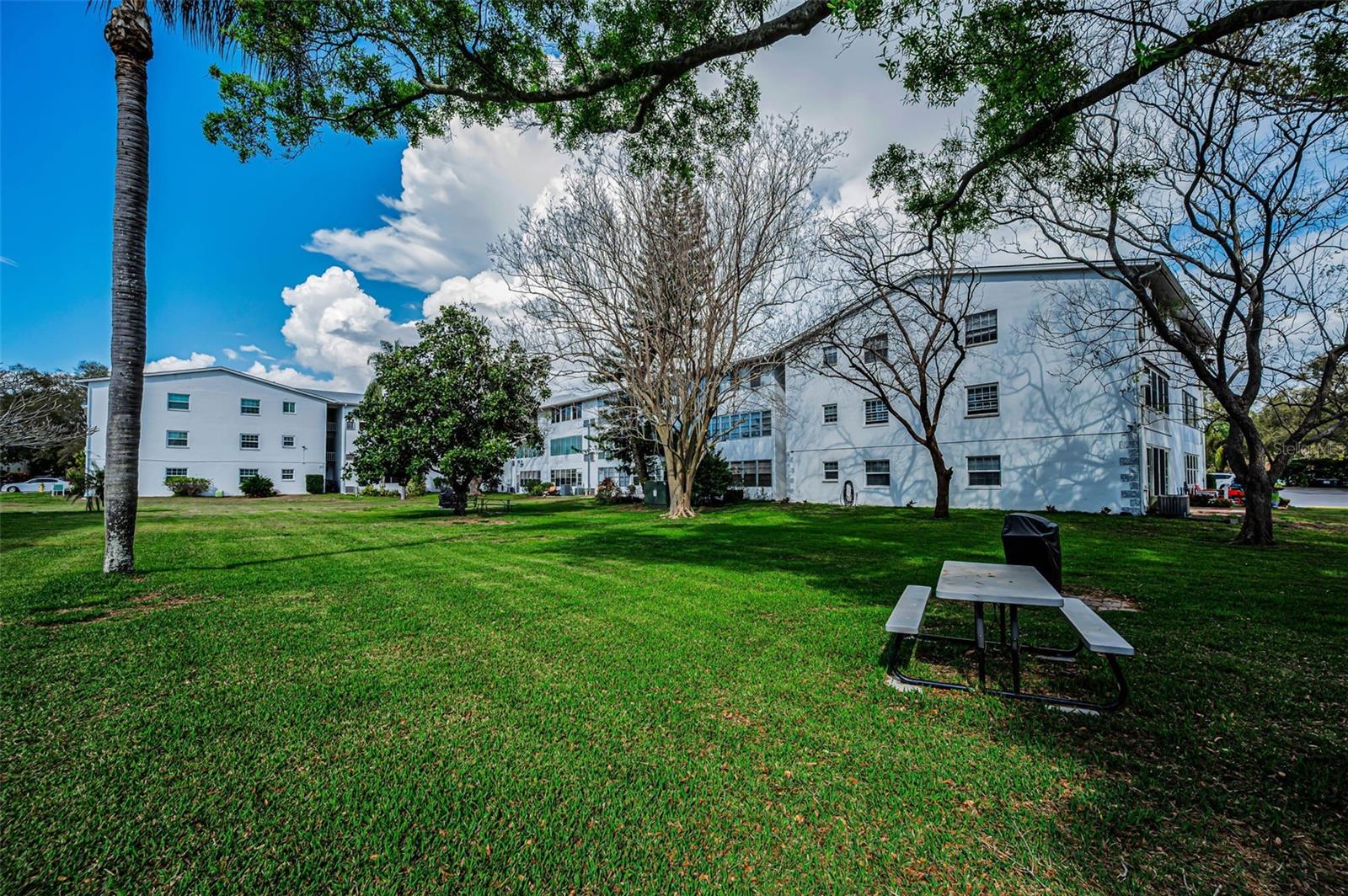 DOUGLAS ARMS - Residential