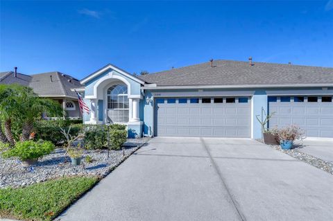 A home in WESLEY CHAPEL