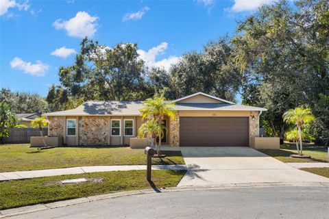 Photo of 112 Meadowcross Drive, Safety Harbor, FL 34695 (MLS # TB8448836)