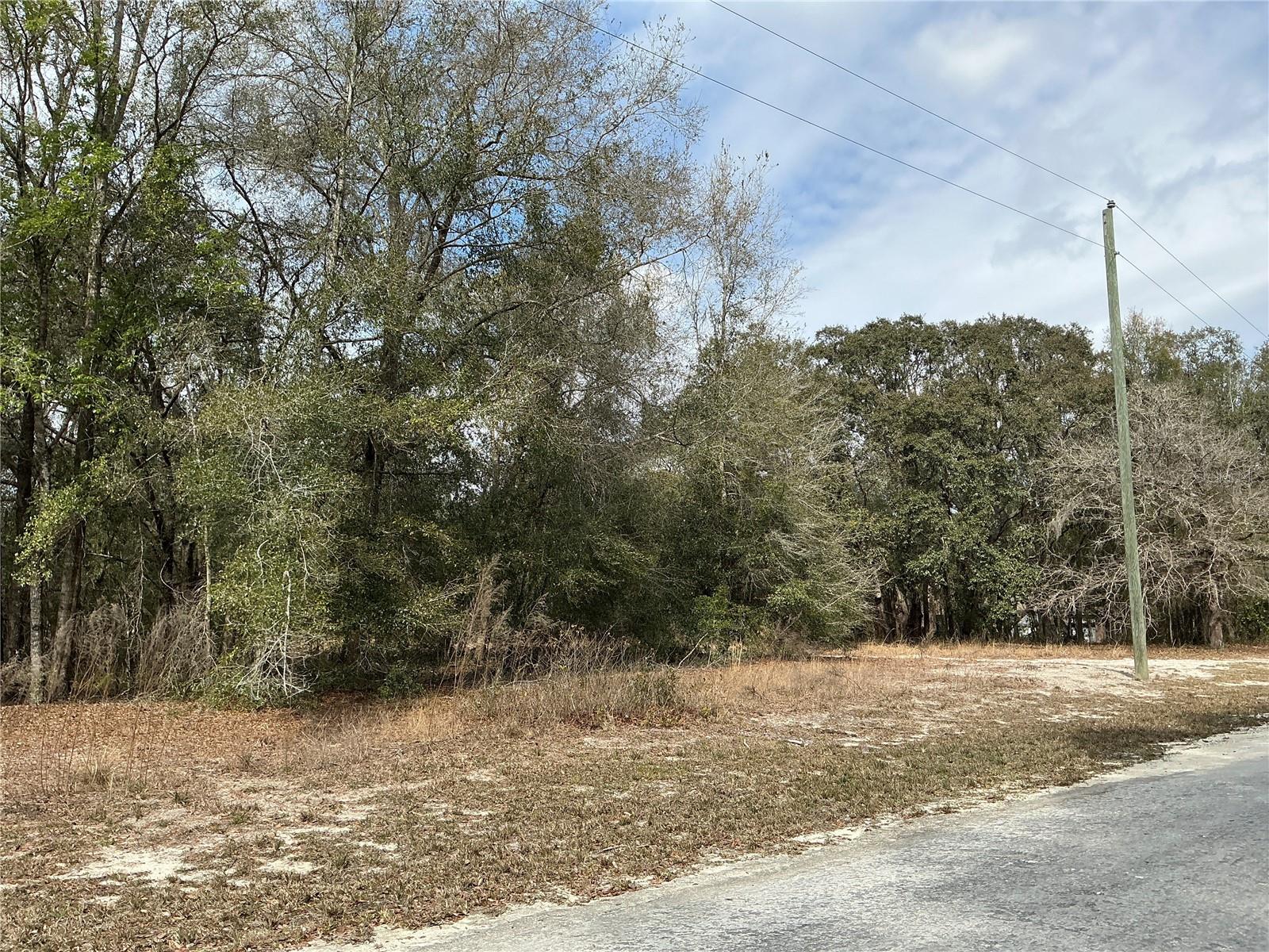 RIDGE MANOR ESTATE - Land