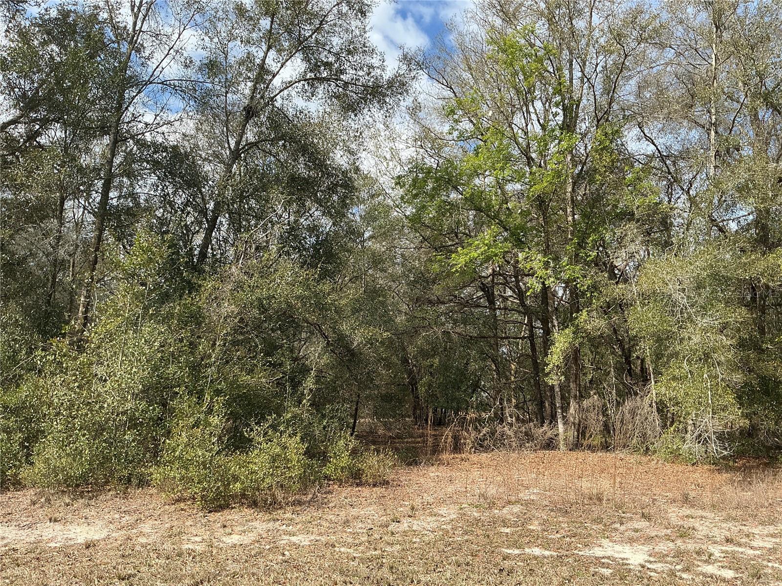 RIDGE MANOR ESTATE - Land