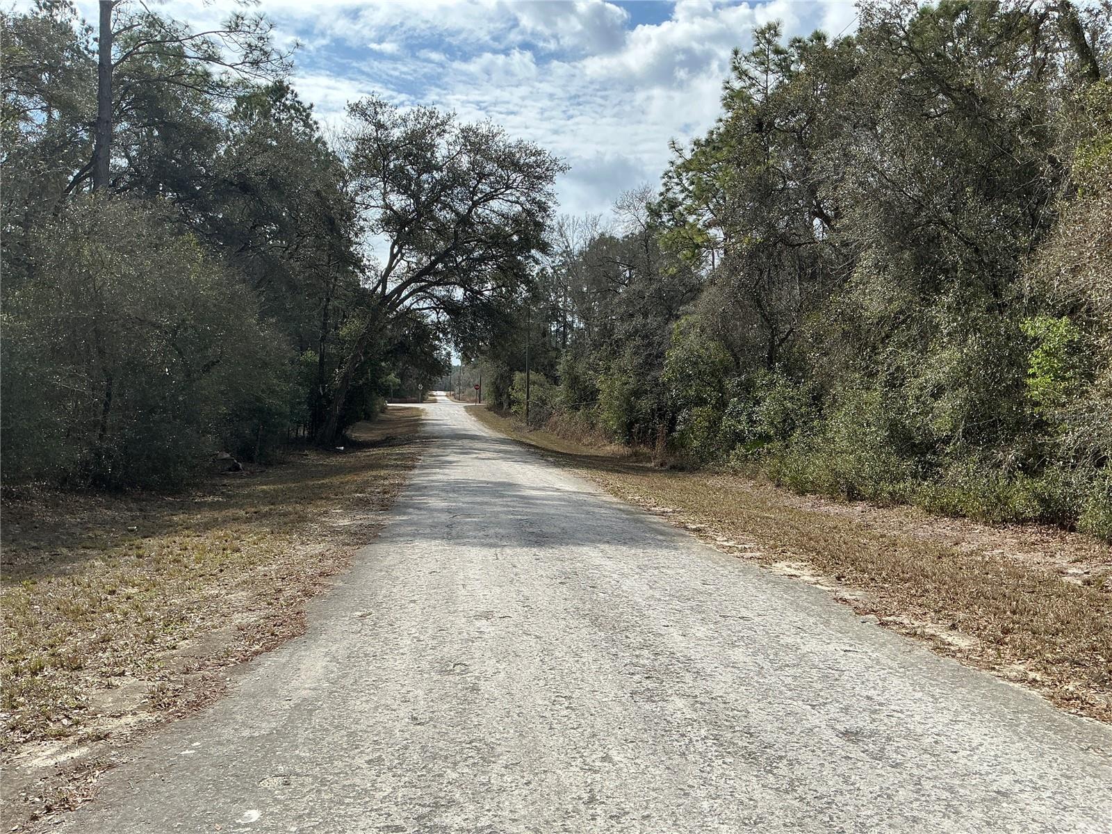 RIDGE MANOR ESTATE - Land