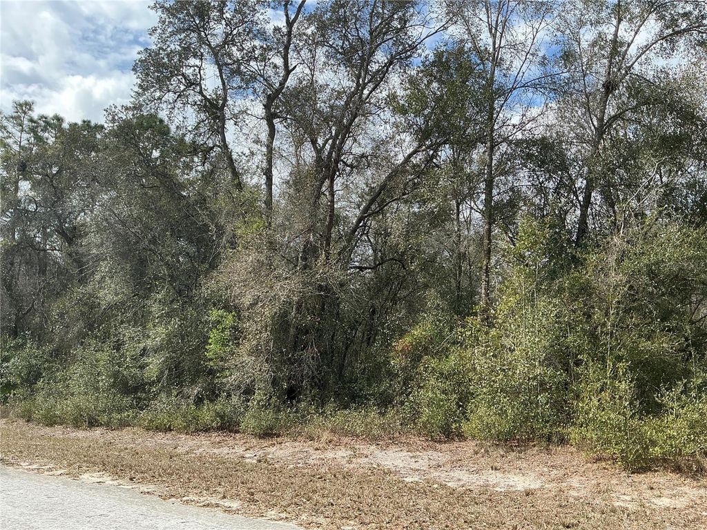 Photo of 9299 Goodstone Drive, Webster, FL 33597 (MLS # OM721584)