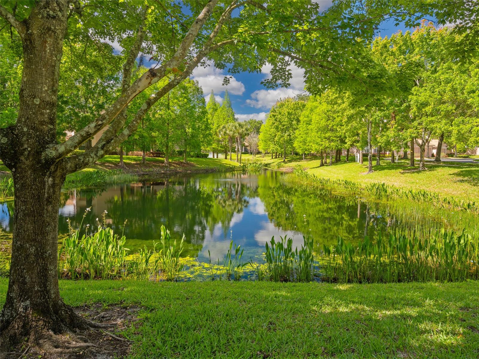 MANDALAY AT BELLA TRAE CONDO PH 25 BLDG 63 - Residential