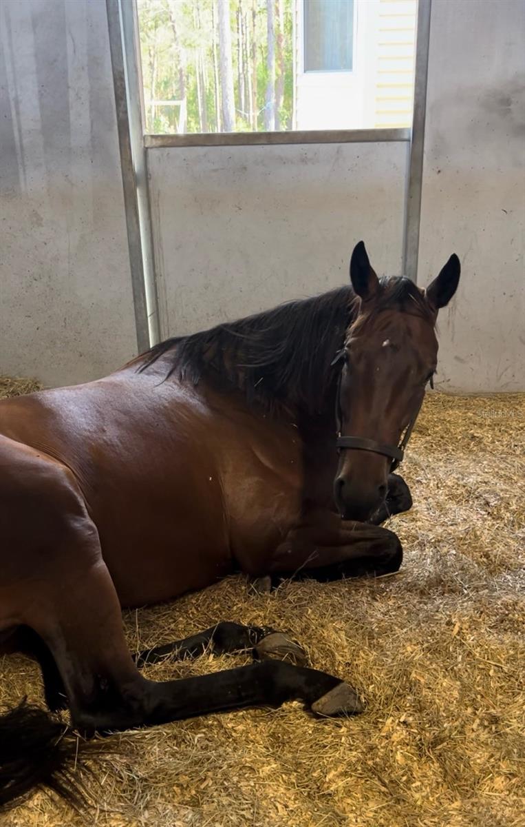 ROYAL HIGHLANDS - Residential Lease