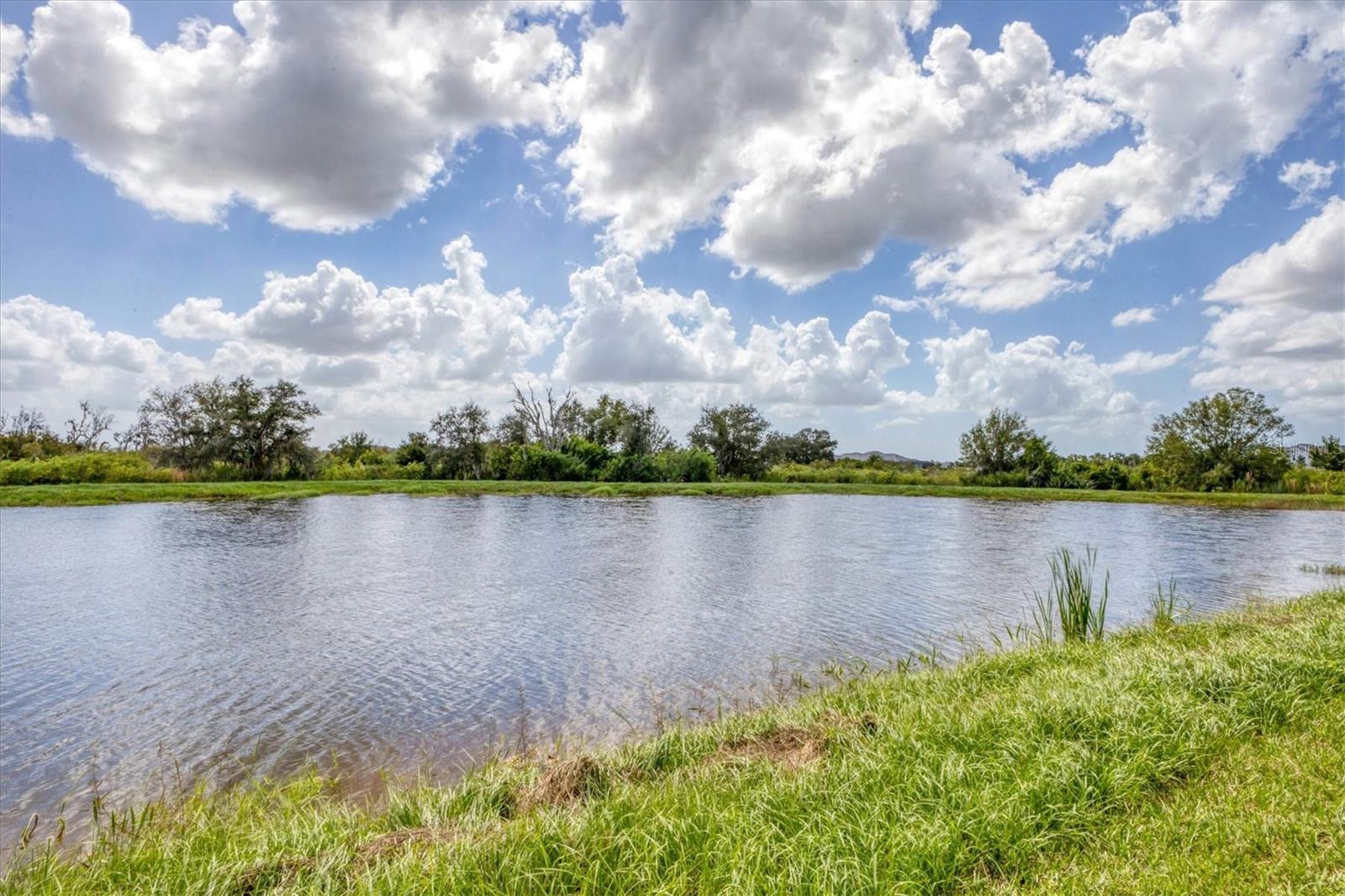 BUNGALOW WALK LAKEWOOD RANCH N - Residential Lease