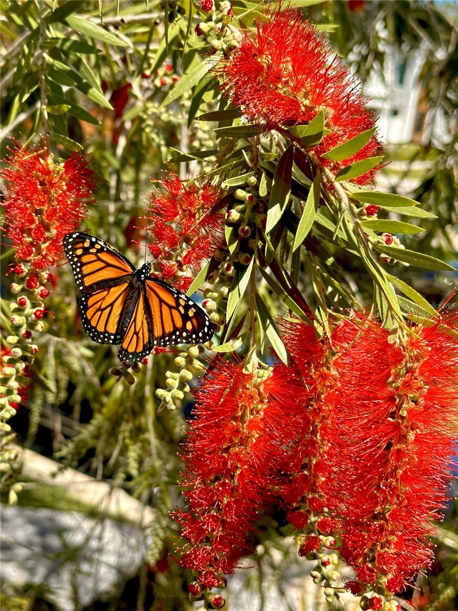 1718 NEVADA AVENUE NE