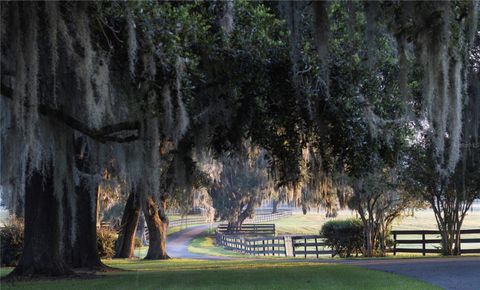Tiny photo for 12750 W Highway 40, Ocala, FL 34481 (MLS # OM715626)