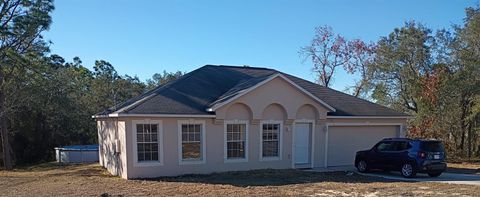 Photo of 10367 Flycatcher Road, Brooksville, FL 34613 (MLS # O6375576)