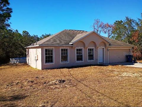 Photo of 10367 Flycatcher Road, Brooksville, FL 34613 (MLS # O6375576)