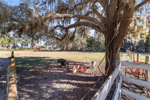 Tiny photo for 12600 SW Highway 484, Dunnellon, FL 34432 (MLS # OM715898)