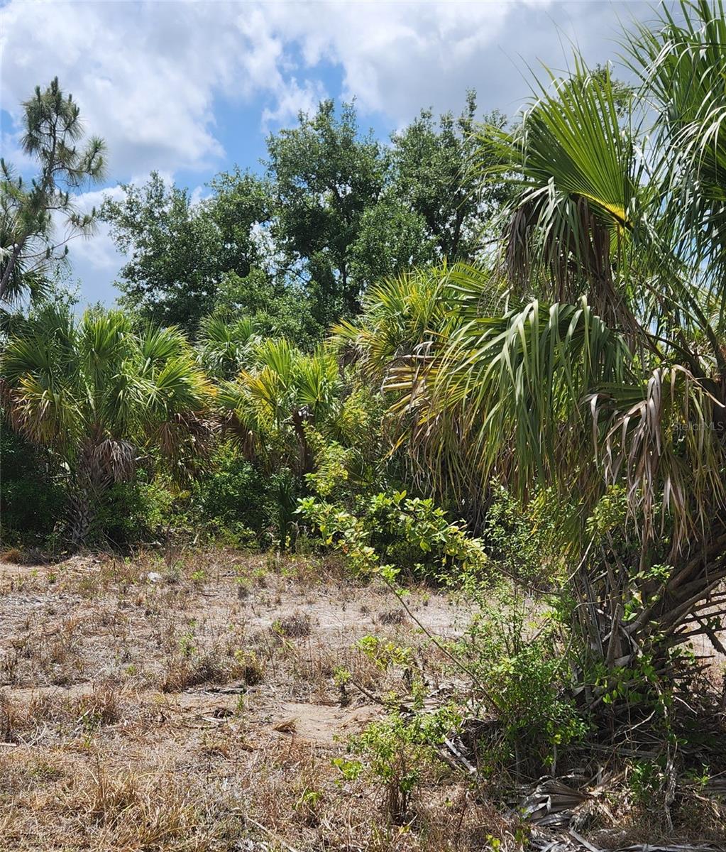 PORT CHARLOTTE SUB 12 - Land