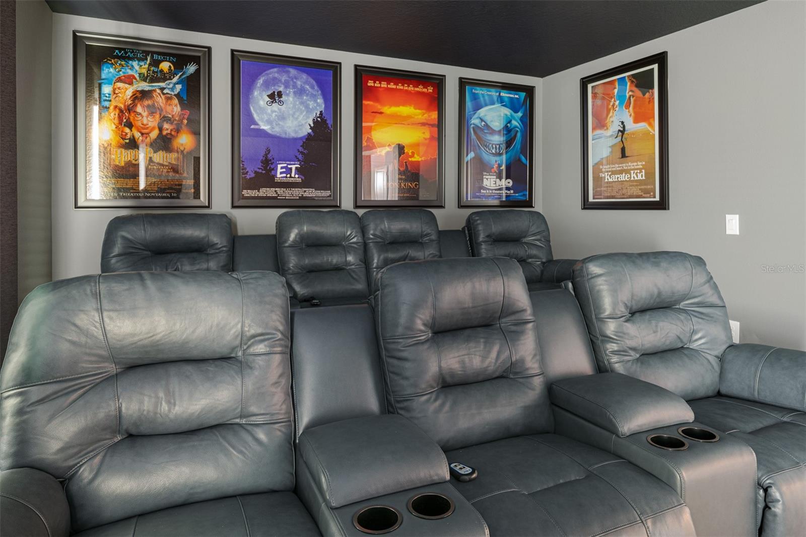 COVE AT STOREY LAKE 4 - Residential