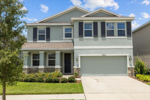 Photo of 10912 Kidron Valley Lane, Tampa, FL 33625 (MLS # T3545343)