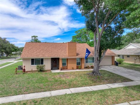 A home in TAMPA