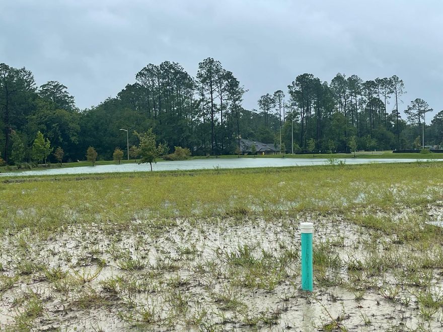 For Comp. purposes only.