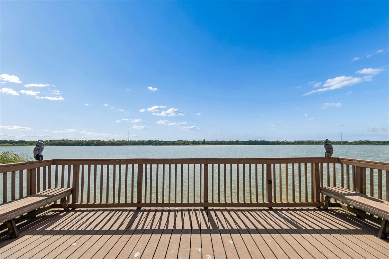 MONTEREY AT LAKE SEMINOLE CONDO - Residential