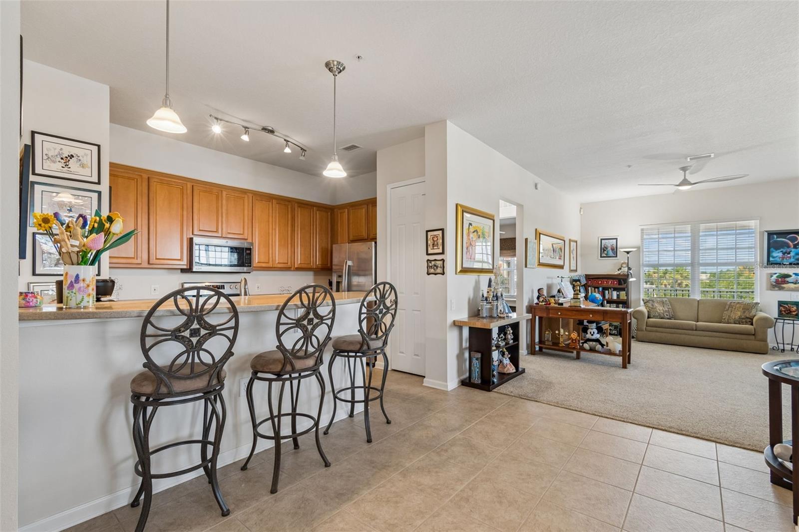 MONTEREY AT LAKE SEMINOLE CONDO - Residential