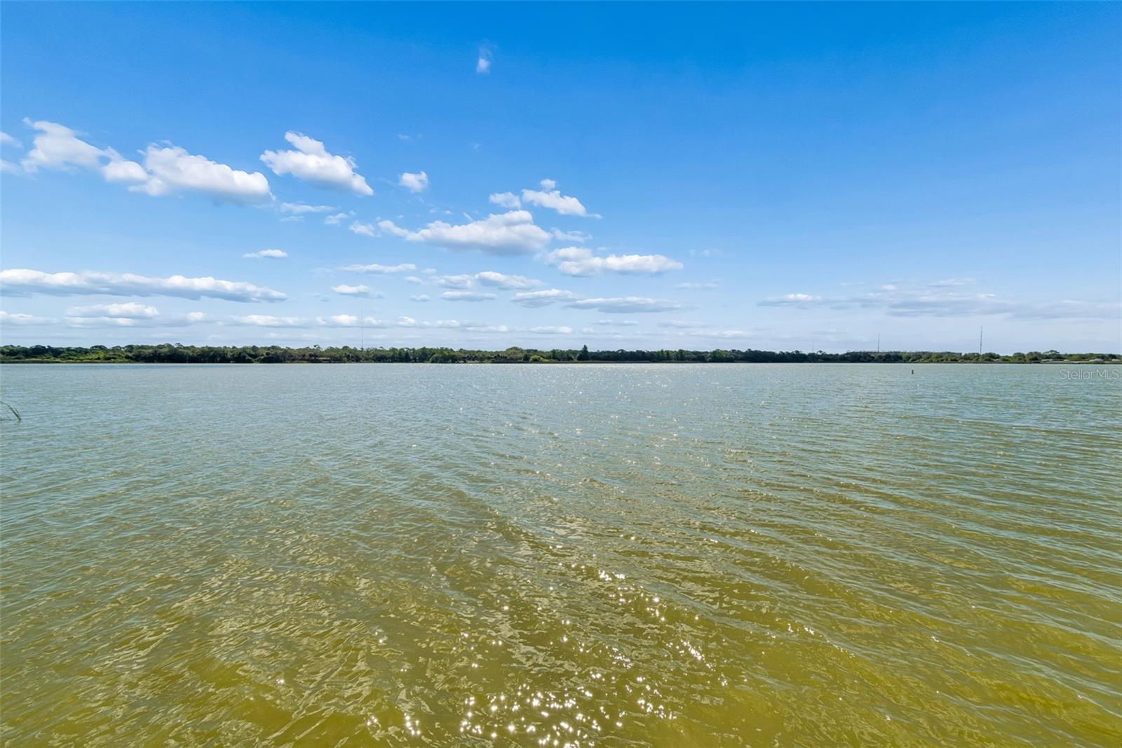 MONTEREY AT LAKE SEMINOLE CONDO - Residential