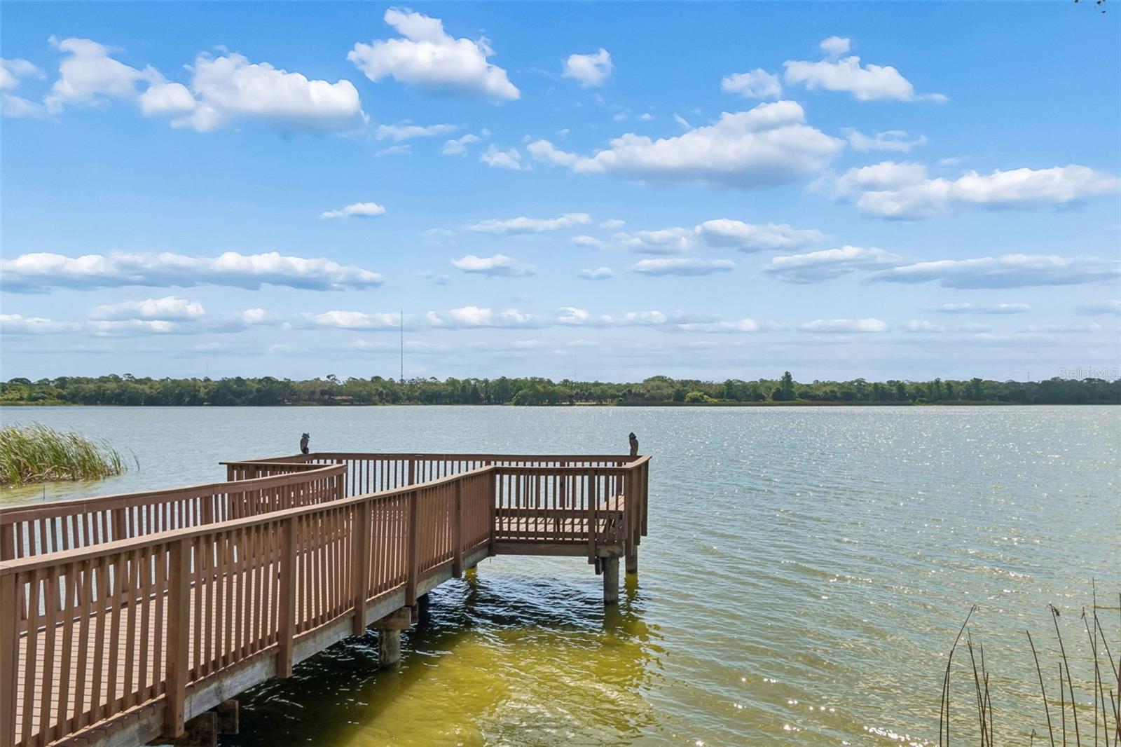 MONTEREY AT LAKE SEMINOLE CONDO - Residential