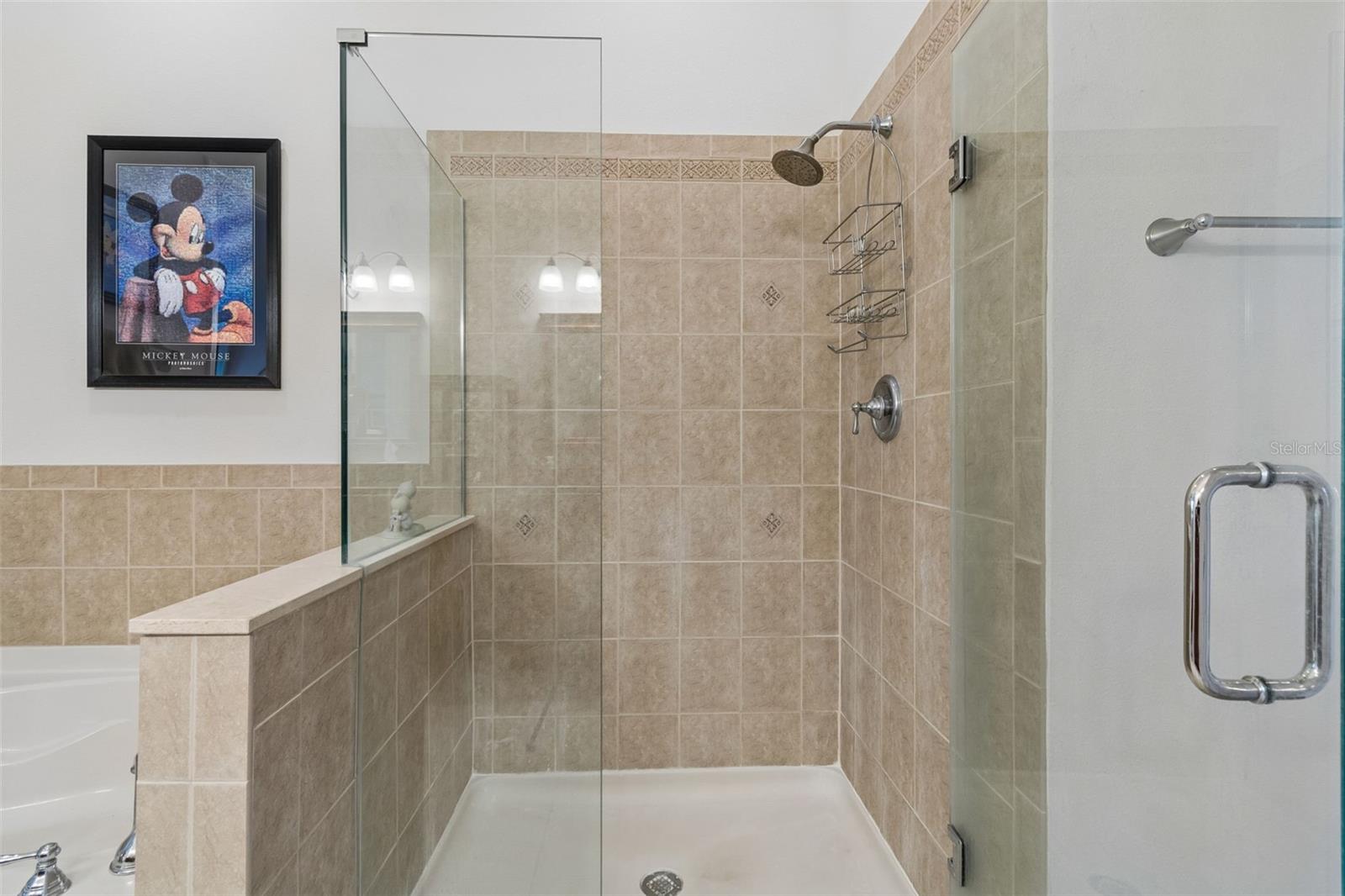 MONTEREY AT LAKE SEMINOLE CONDO - Residential