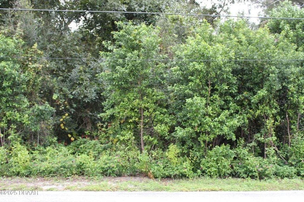 Photo of 510 Fred Gamble Way, Ormond Beach, FL 32174 (MLS # V4944654)