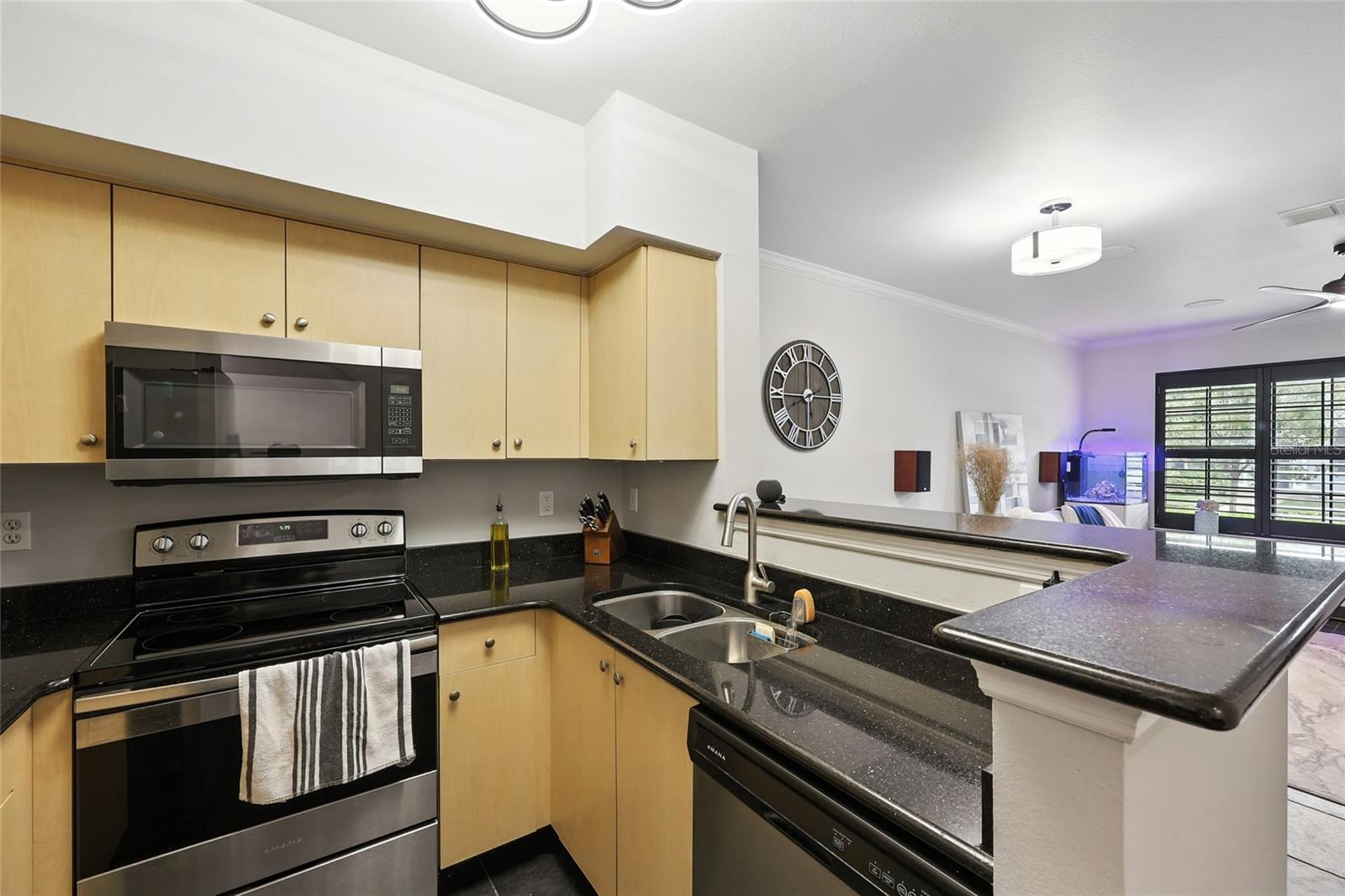 SIENA AT CELEBRATION CONDO C - Residential