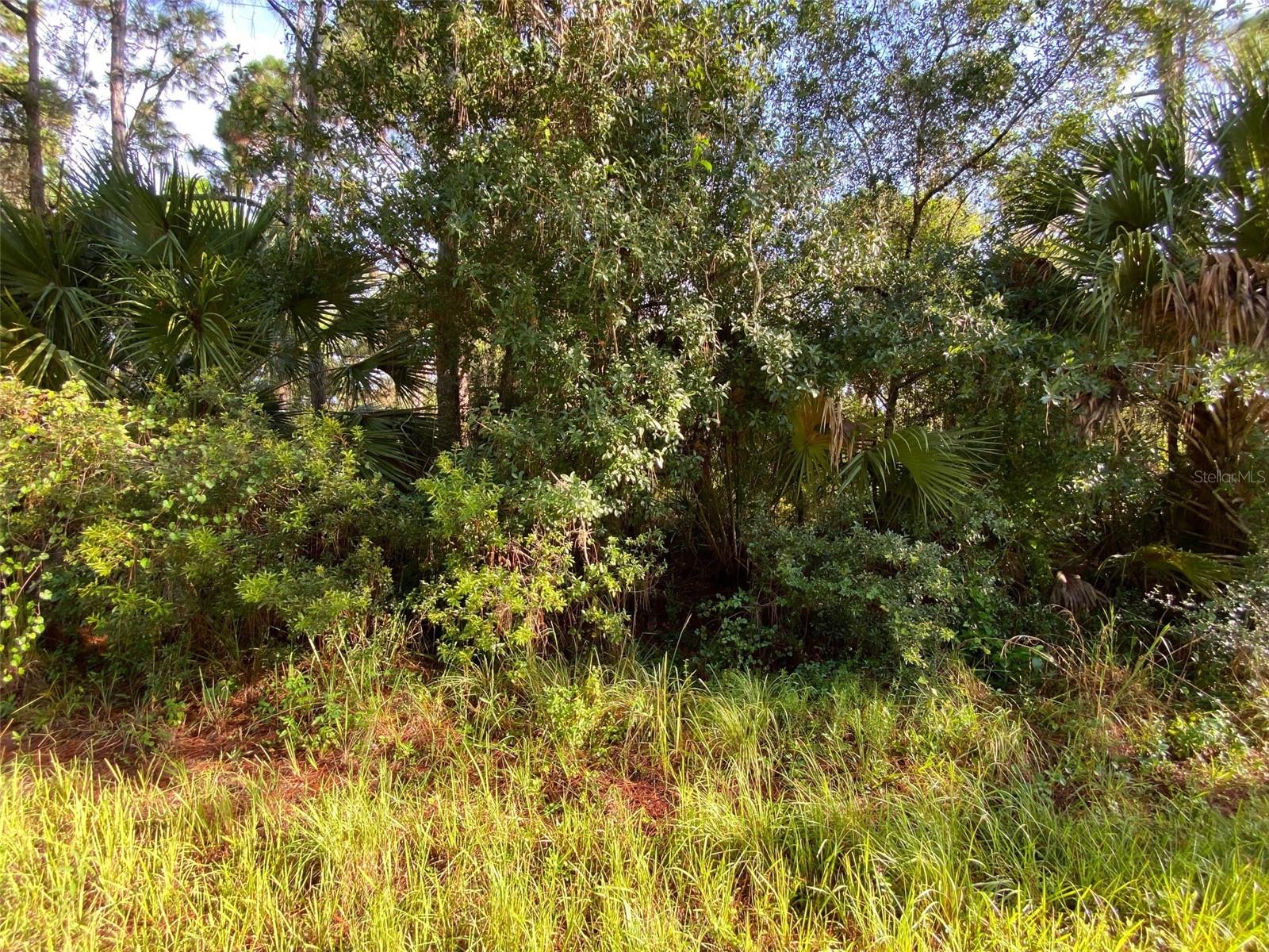 PORT CHARLOTTE SUB 25 - Land