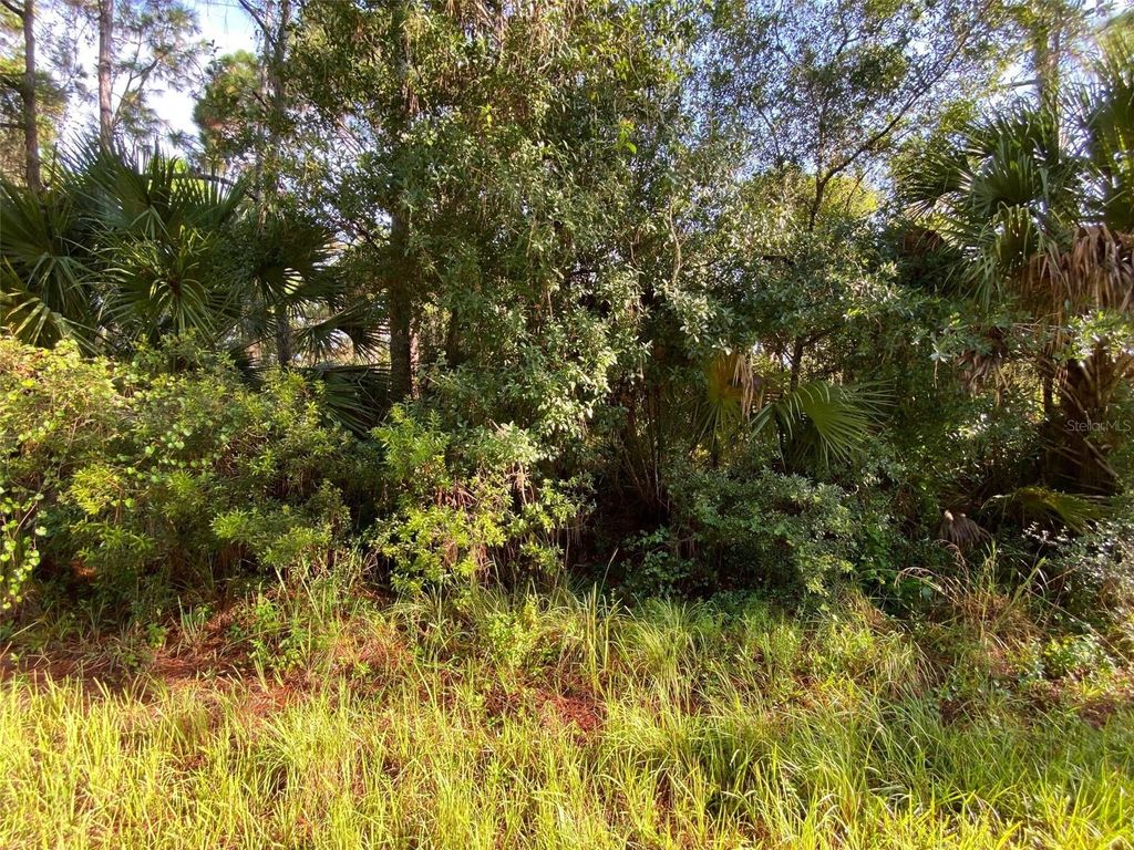 Photo of 8 Sultan Avenue, North Port, FL 34286 (MLS # T3400082)