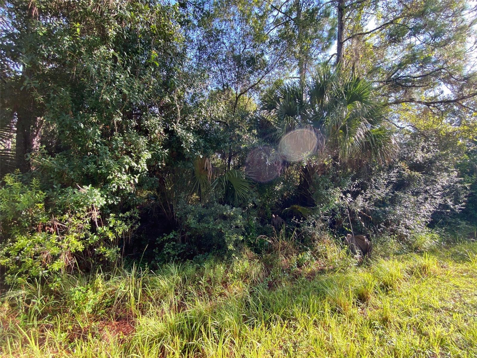 PORT CHARLOTTE SUB 25 - Land