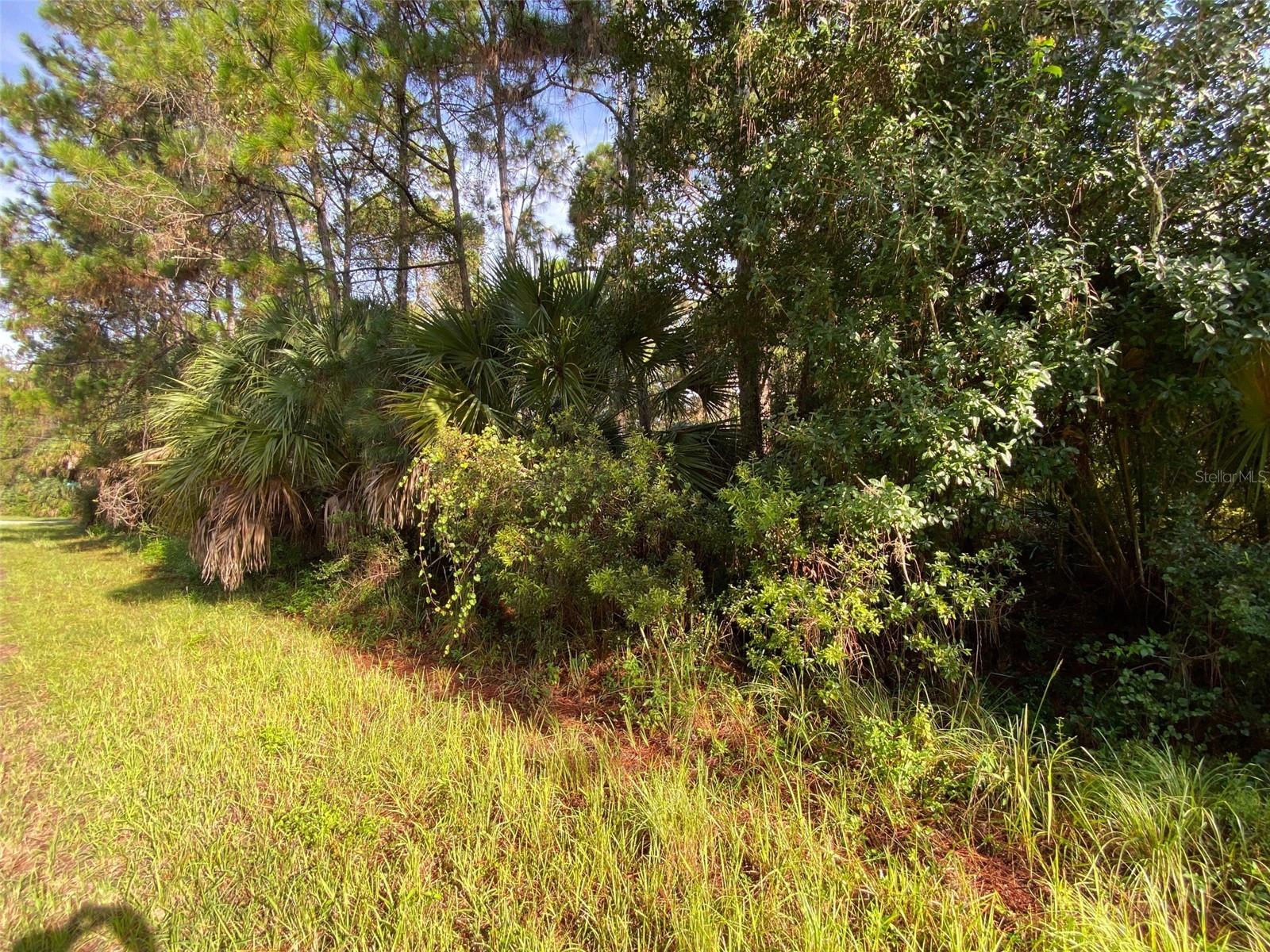 PORT CHARLOTTE SUB 25 - Land