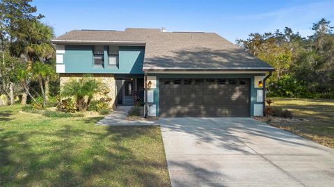 A home in DELTONA