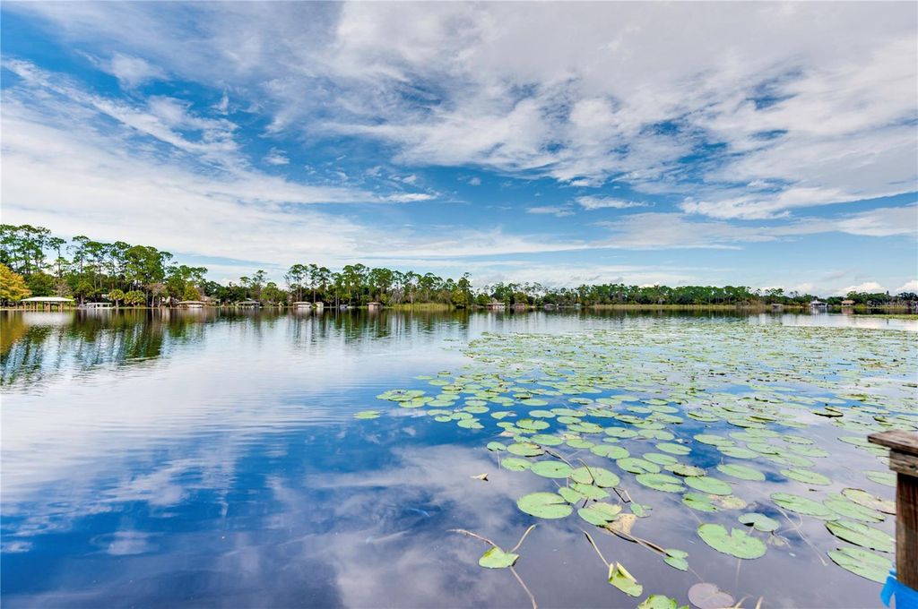 Photo of 4029 Tamarisk Way, Orlando, FL 32817 (MLS # O6409365)