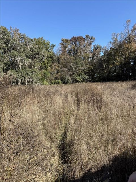 Tiny photo for NW 110th Avenue, Reddick, FL 32686 (MLS # OM715018)