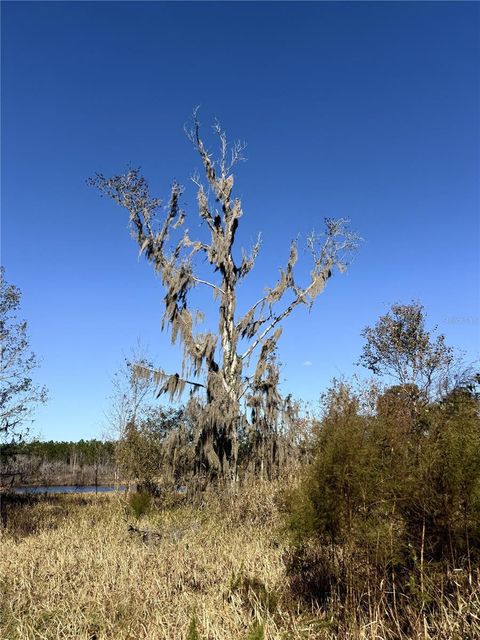 Tiny photo for NW 110th Avenue, Reddick, FL 32686 (MLS # OM715018)