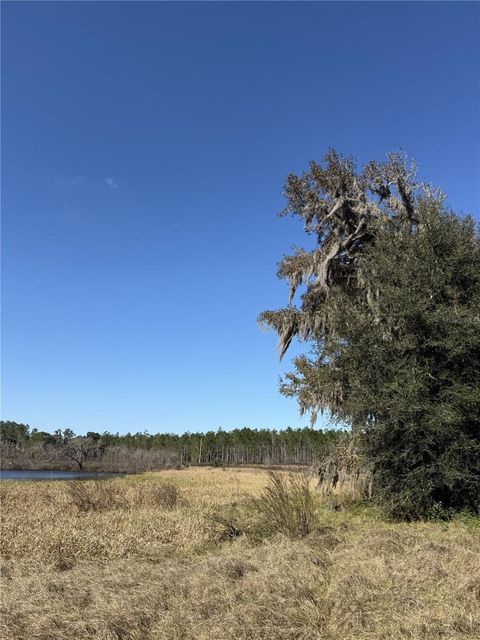 Tiny photo for NW 110th Avenue, Reddick, FL 32686 (MLS # OM715018)