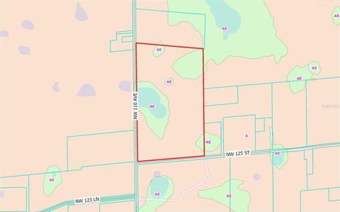 Tiny photo for NW 110th Avenue, Reddick, FL 32686 (MLS # OM715018)