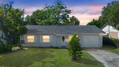 3809 BEACHMAN DRIVE ORLANDO FL 32810