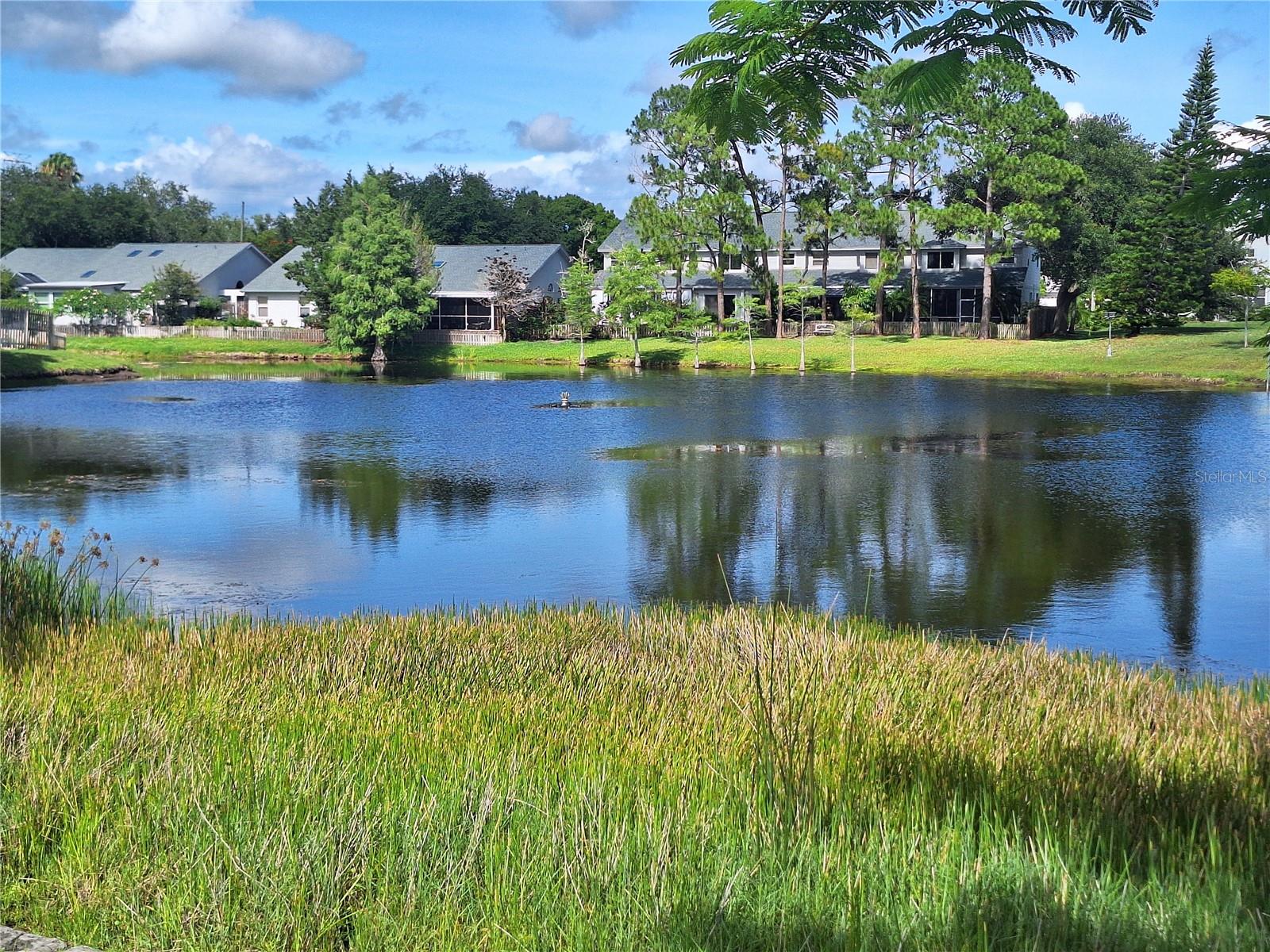 BROOKFIELD - Residential