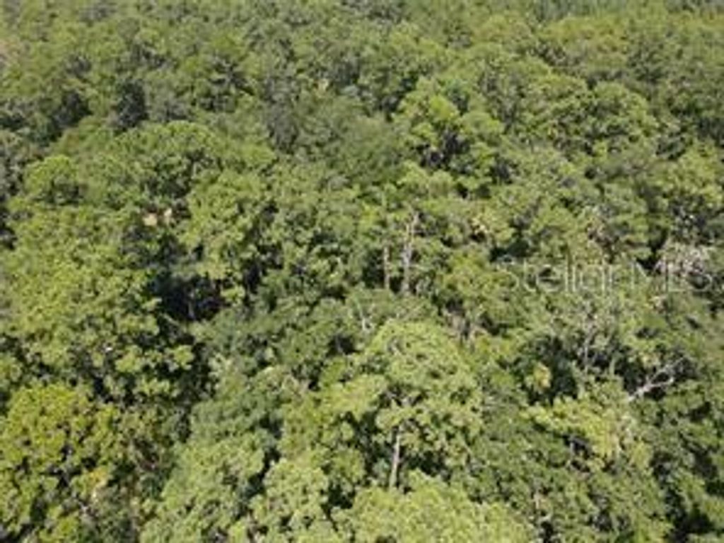 Photo of Salyers Road, Clermont, FL 34714 (MLS # O6289134)