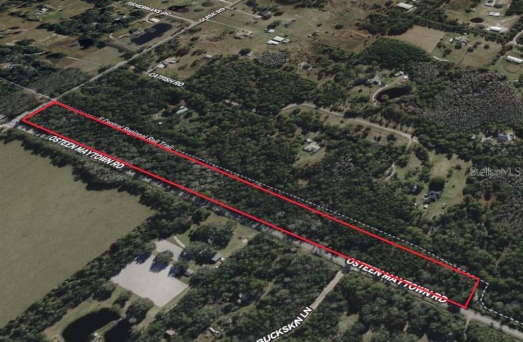 Photo of 800 Osteen Maytown Road, Osteen, FL 32764 (MLS # O6375112)