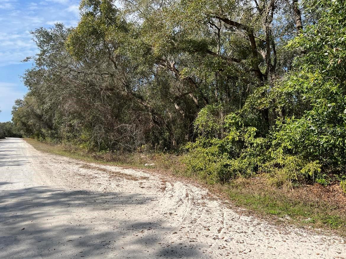 RIDGE MANOR ESTATE - Land