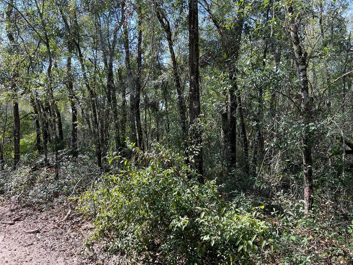 RIDGE MANOR ESTATE - Land