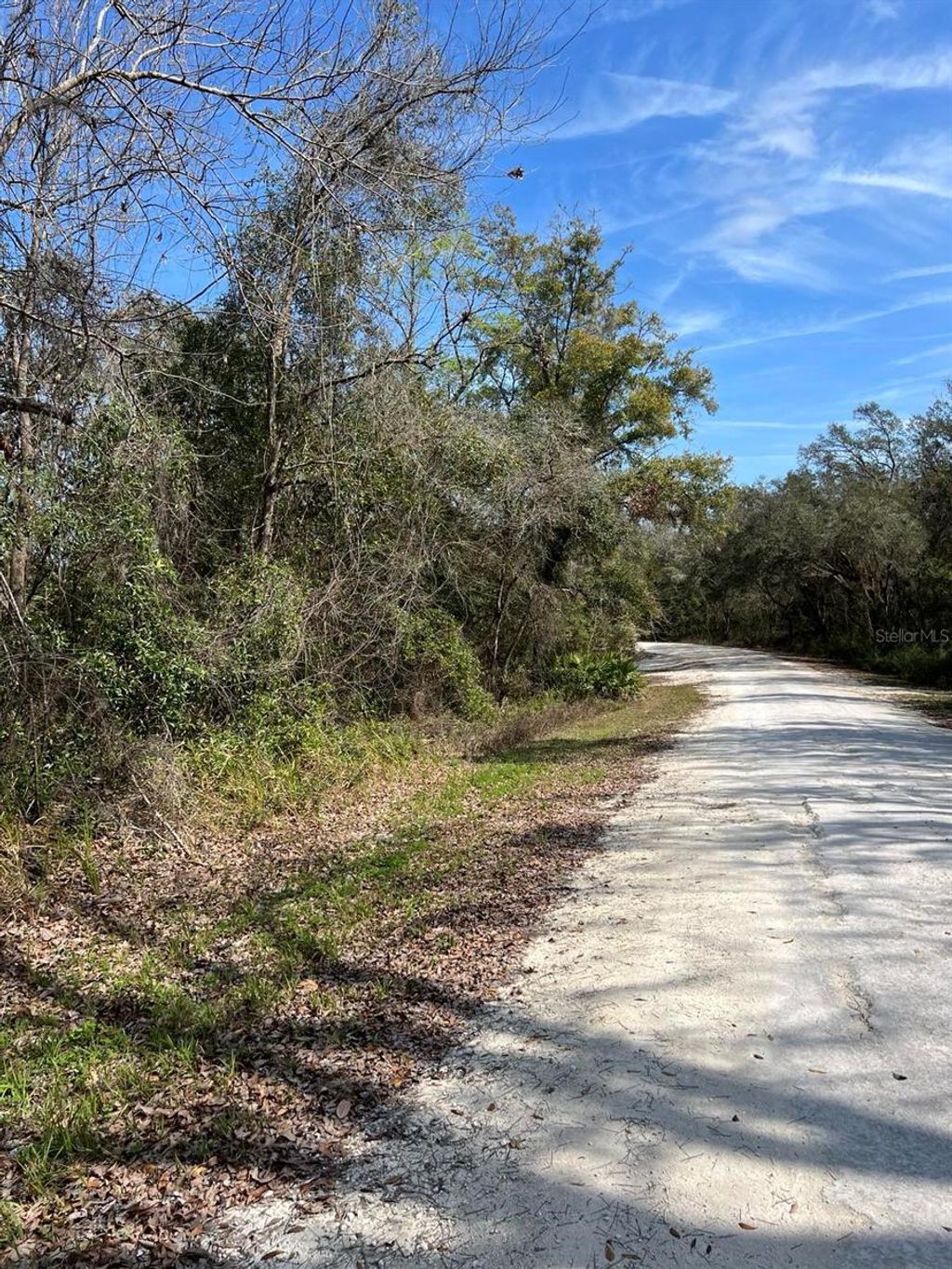 Photo of 34085 Arrowrock Street, Webster, FL 33597 (MLS # TB8478653)