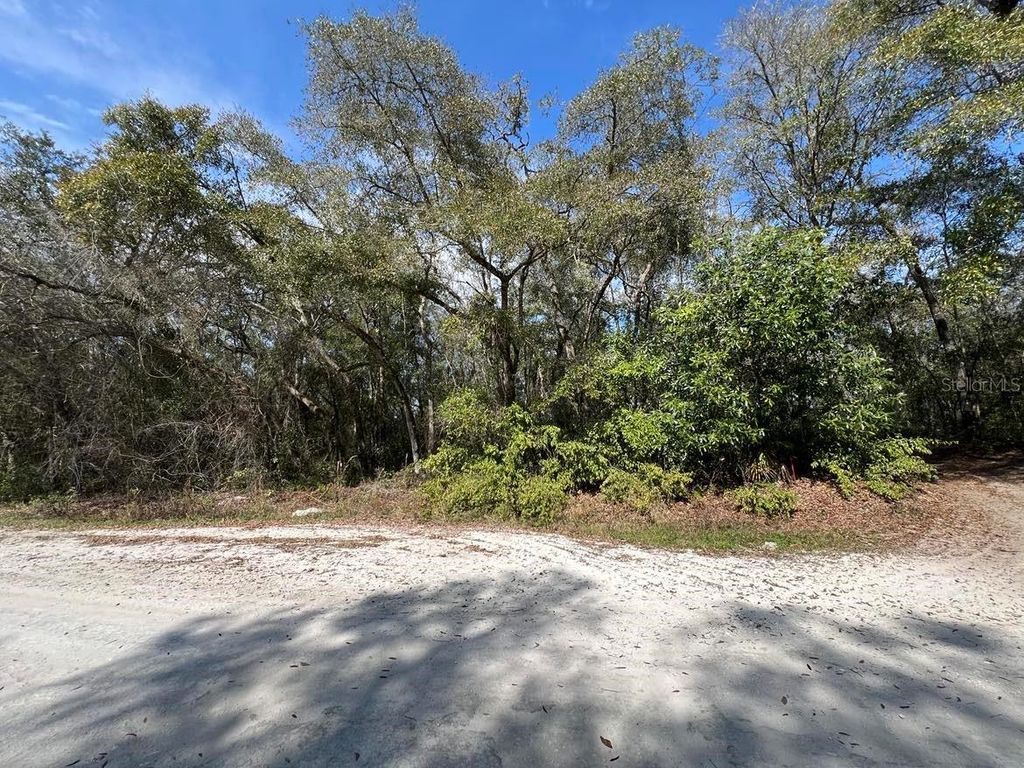 Photo of 34085 Arrowrock Street, Webster, FL 33597 (MLS # TB8478653)