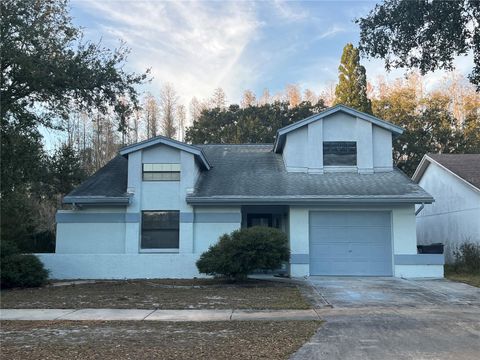 11230 ELMFIELD DRIVE TAMPA FL 33625