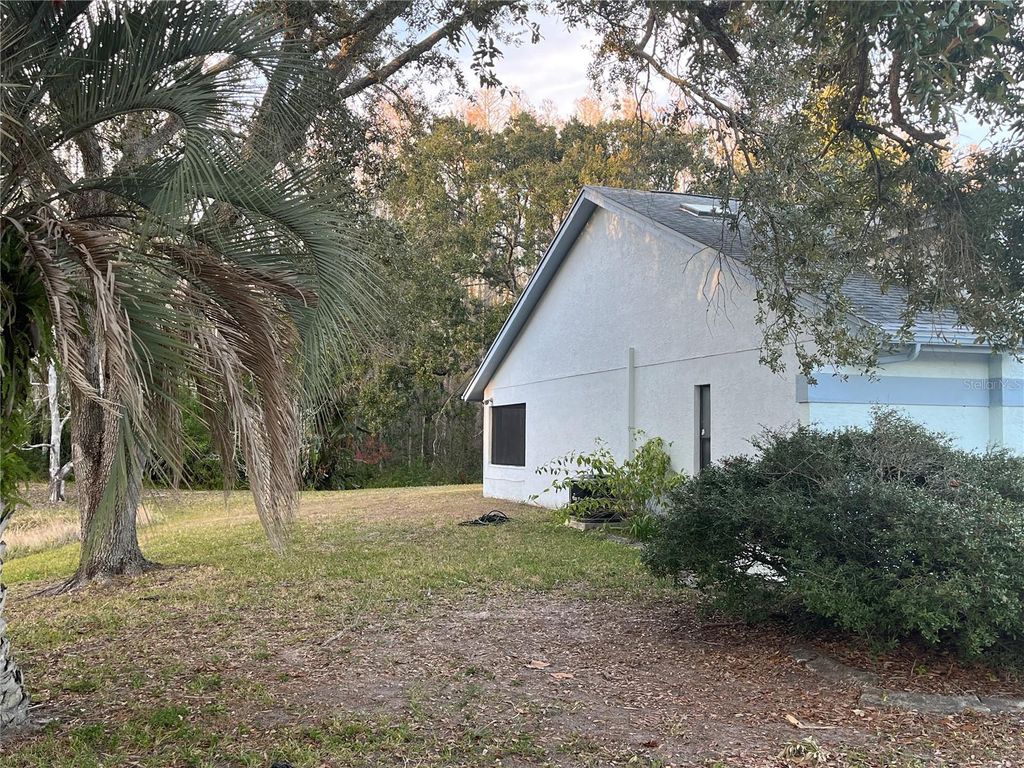 Photo of 11230 Elmfield Drive, Tampa, FL 33625 (MLS # TB8468574)