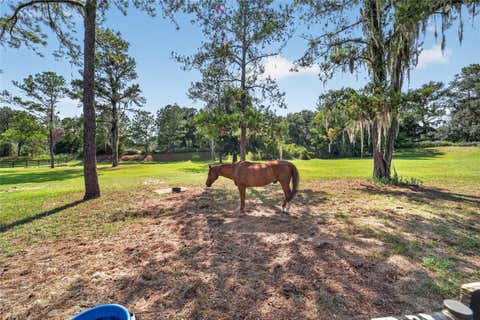 Tiny photo for 11050 SE 37th Avenue Road, Belleview, FL 34420 (MLS # OM729598)